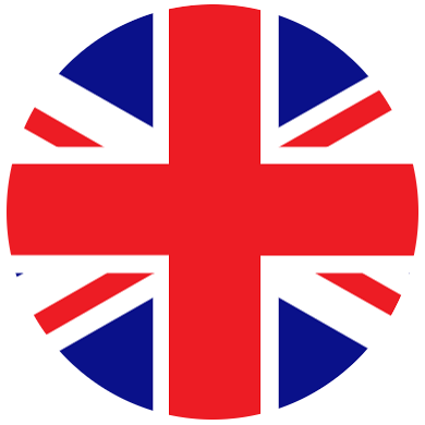 View in English